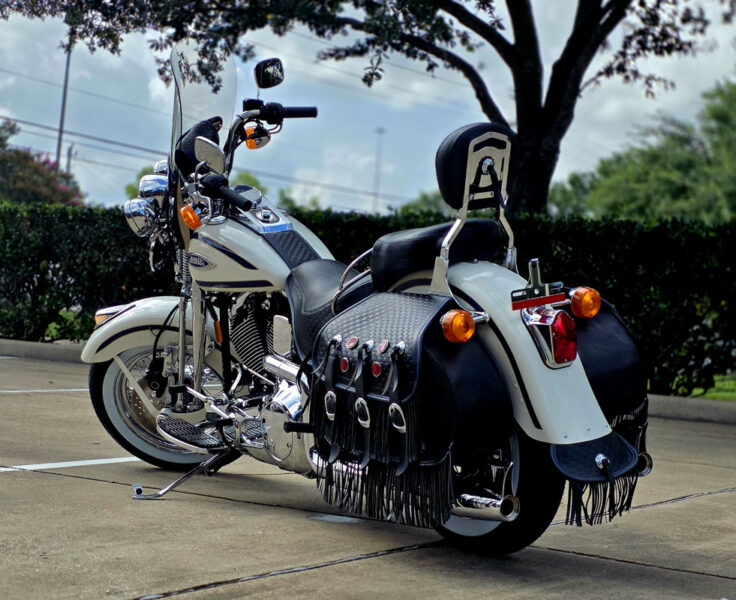 harley springer